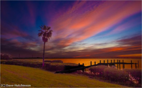 Missing Image: i_0047.jpg - Morning Color on North Bayshore