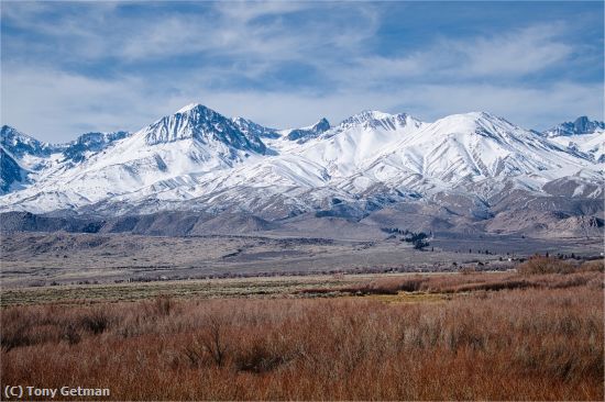 Missing Image: i_0048.jpg - Meadow at Alabama Hills
