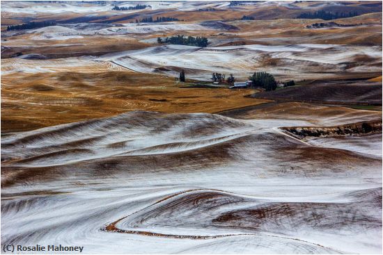 Missing Image: i_0050.jpg - First Snow on the Palouse