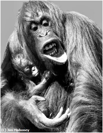 Missing Image: i_0077.jpg - Mom and Baby