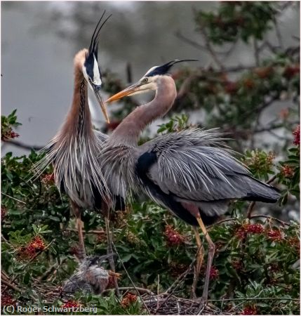 Missing Image: i_0020.jpg - Love Story