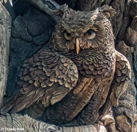 Missing Image: i_0025.jpg - Wooden hooter