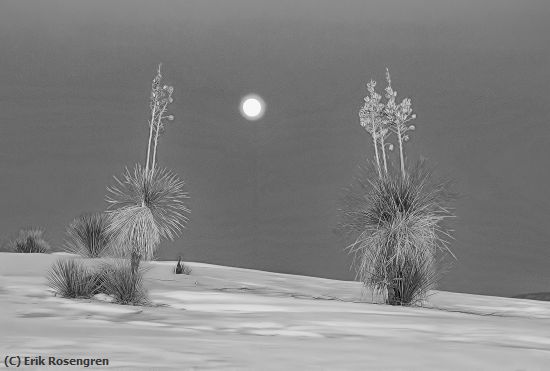 Missing Image: i_0062.jpg - Moon-Rise-White-Sands