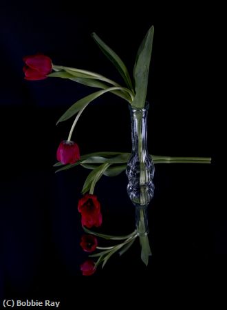 Missing Image: i_0005.jpg - Mirrored Image