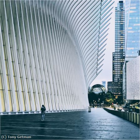 Missing Image: i_0019.jpg - Alone at the Oculus