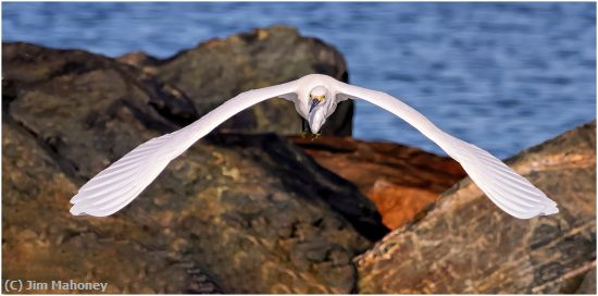 Missing Image: i_0044.jpg - Flying Toward Us