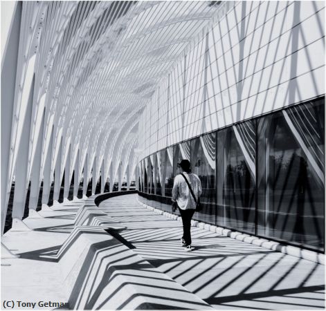 Missing Image: i_0066.jpg - Walking Away