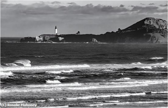 Missing Image: i_0079.jpg - Yaquina Head Lighthouse