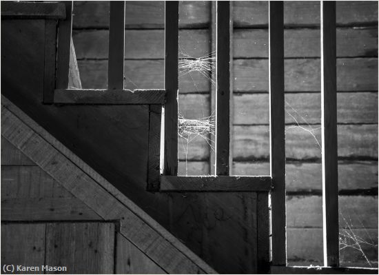 Missing Image: i_0046.jpg - Cobweb