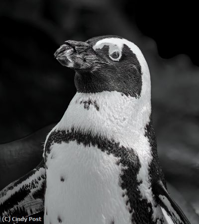 Missing Image: i_0055.jpg - Thinking about Fish