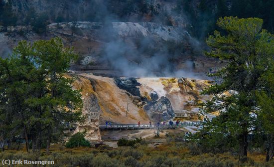 Missing Image: i_0031.jpg - Yellowstone-Majesty