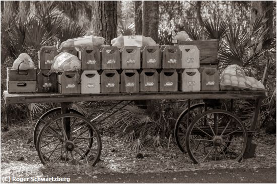 Missing Image: i_0065.jpg - Delivery of Oranges