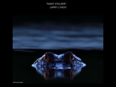 ei1_Night_Stalker