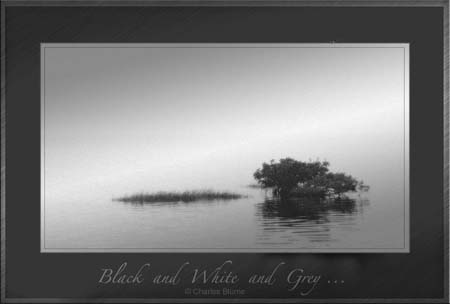 ei2_Charles_Blume_Black-White-Gray