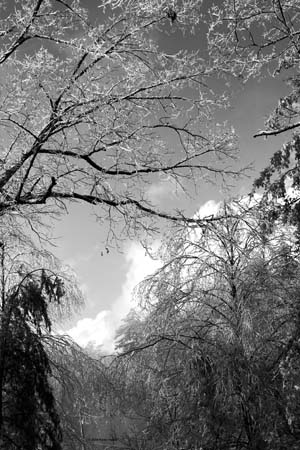 mp2_Karen_Hallet_Ice_In_Black_and_White
