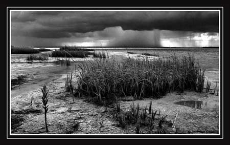 mp5_Kurt_Allebach_Storm_Rollin'_In