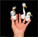 ei8_Nick_Muskovac_Three_Handheld_Hatching_Egrets