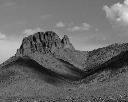 mp3_Kathy_Trentch_Joshua_Tree_Reserve