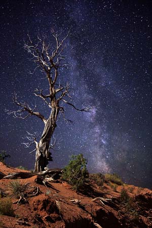 Night Sky - Kramer