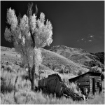 Bannack Mt.
