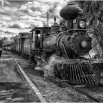 Orange Blossom Express