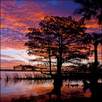 Sunrise on Lake Tarpon