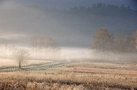 Lynch Blue Ridge