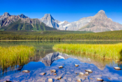 Waterfowl Lake, Alberta