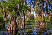 Serenity - Lake Martin