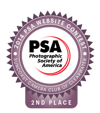 2014 PSA Website Contest Seal