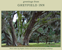 Phyllis Carlson Greyfield Inn